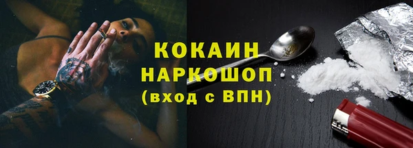 гашик Аркадак