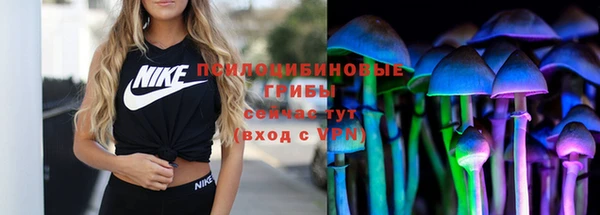 гашик Аркадак