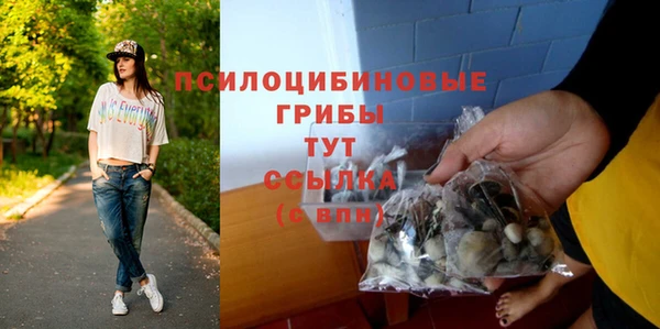 ГАЛЛЮЦИНОГЕННЫЕ ГРИБЫ Армянск